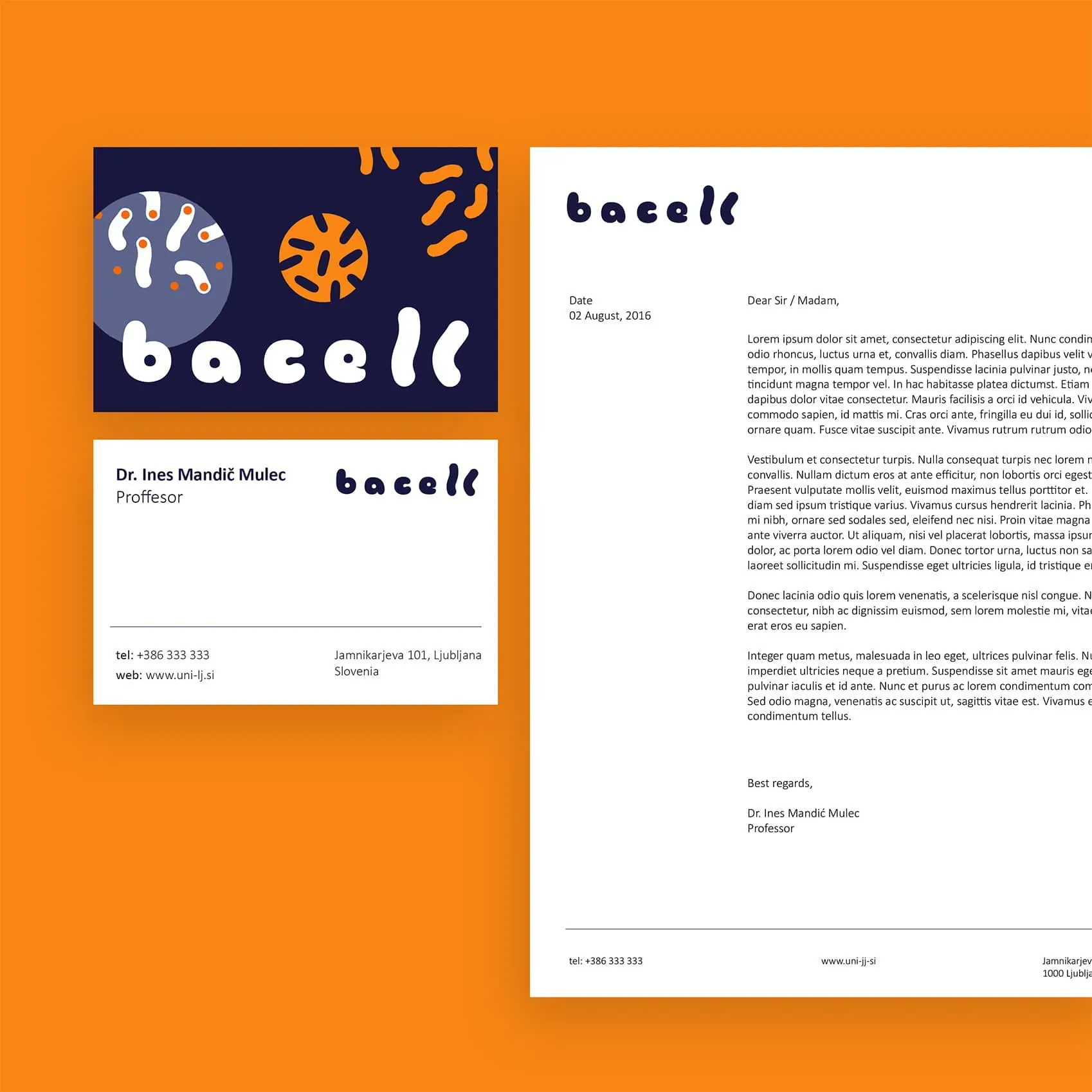 Bacell project asset 2