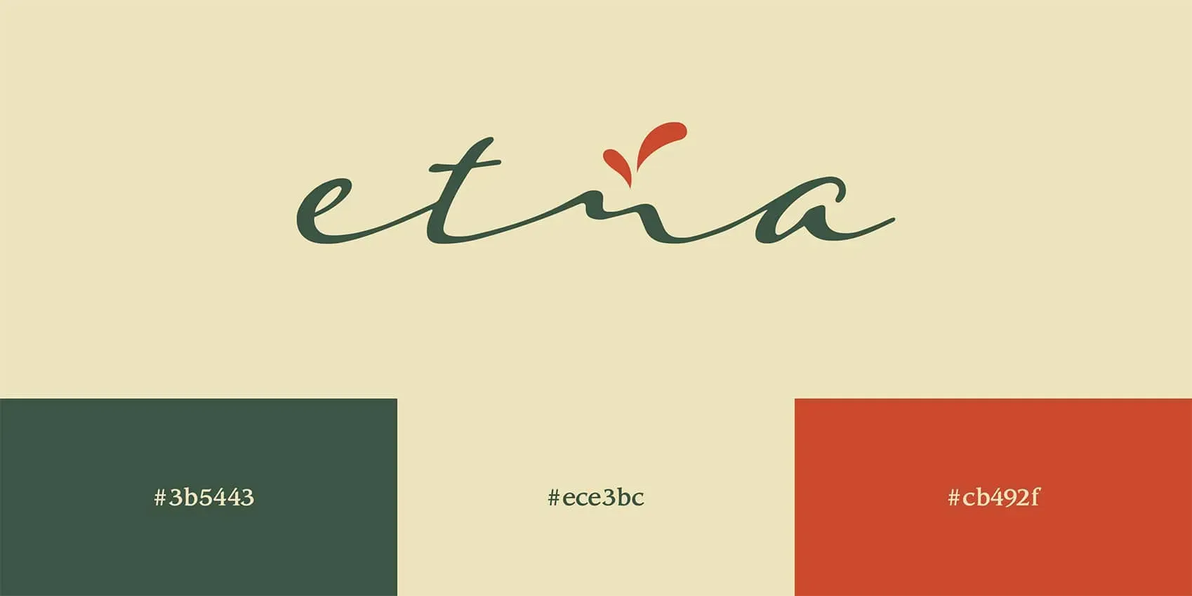 Etna project asset 2