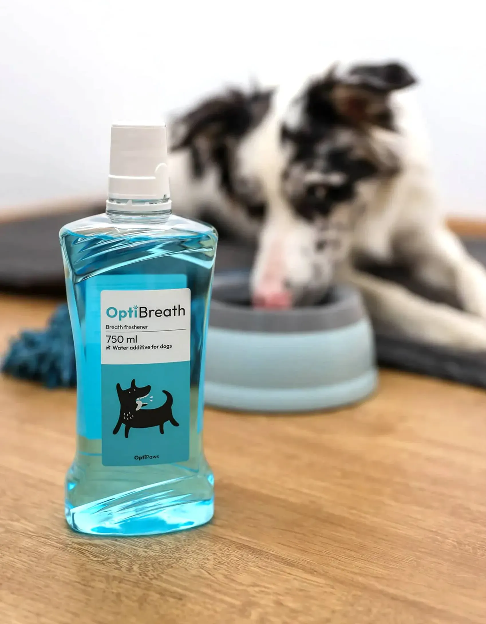 OptiPaws project asset 3